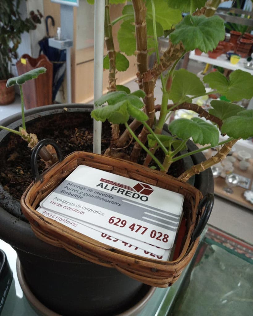 Somos una empresa de referencia para transportes y mudanzas en toda Galicia